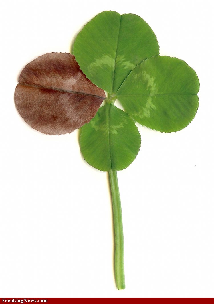 good luck