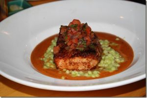 Salmon
