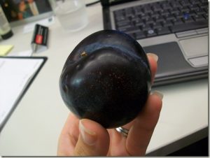 Plum for snack