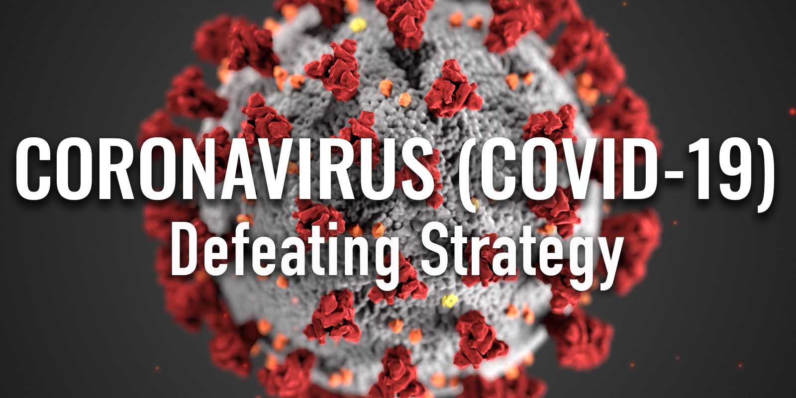 Fighting Strategy COVID-19