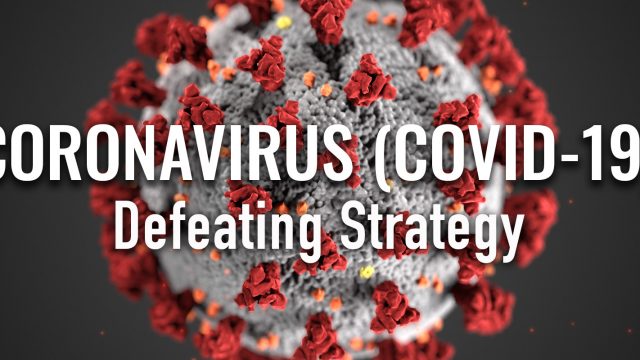 Fighting Strategy COVID-19